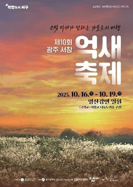광주서창억새축제 여행 정보 - 메고지고