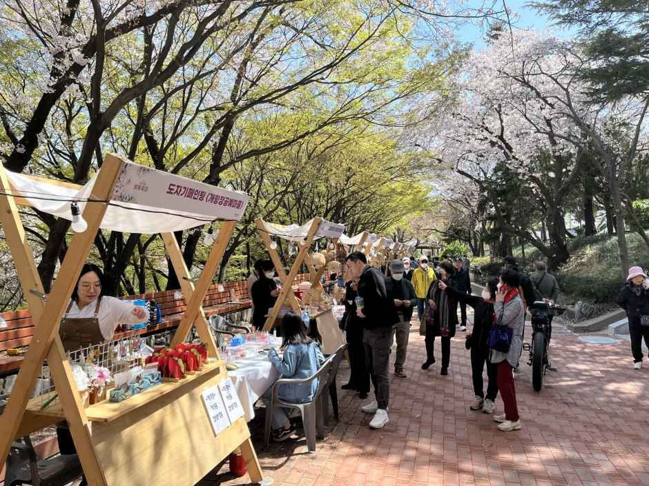 자유공원 벚꽃축제 여행 정보 - 메고지고