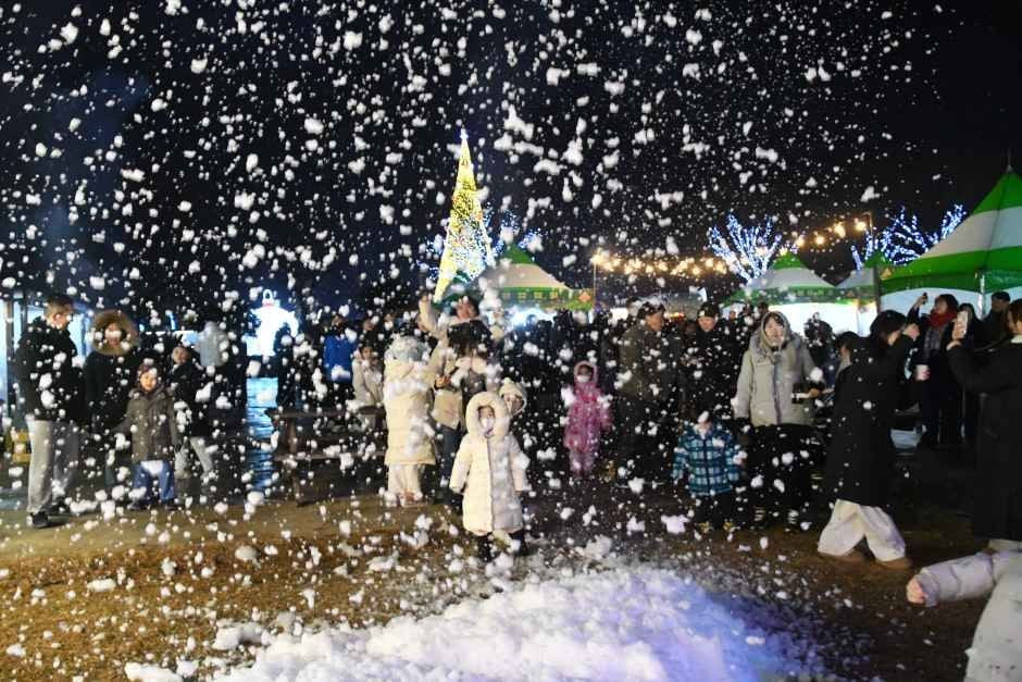 함평 겨울빛축제 여행 정보 - 메고지고