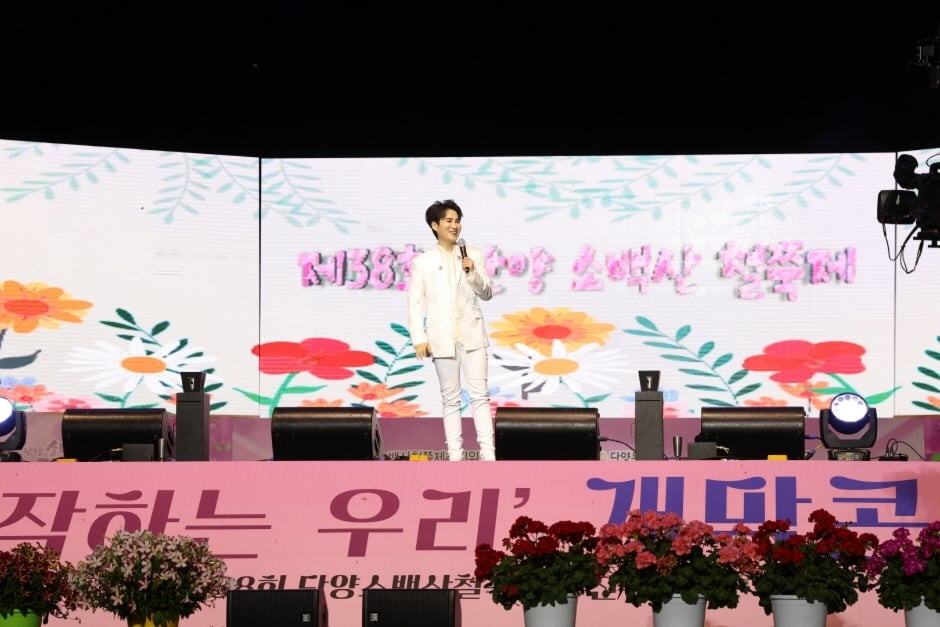단양 소백산 철쭉제 여행 정보 - 메고지고