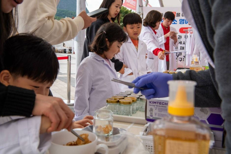 진안홍삼축제 여행 정보 - 메고지고