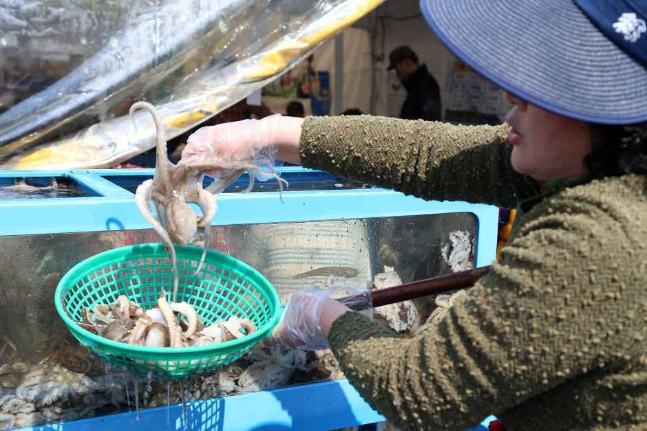 서천 동백꽃 주꾸미 축제 여행 정보 - 메고지고