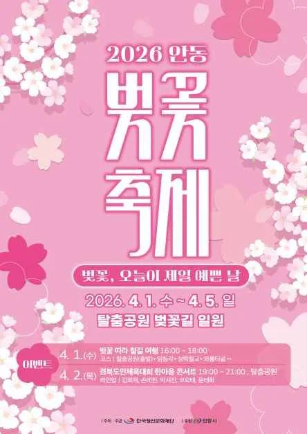 안동벚꽃축제 여행 정보 - 메고지고