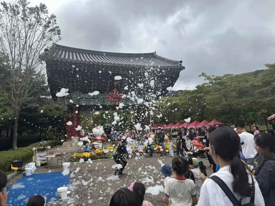 영광불갑산상사화축제 여행 정보 - 메고지고