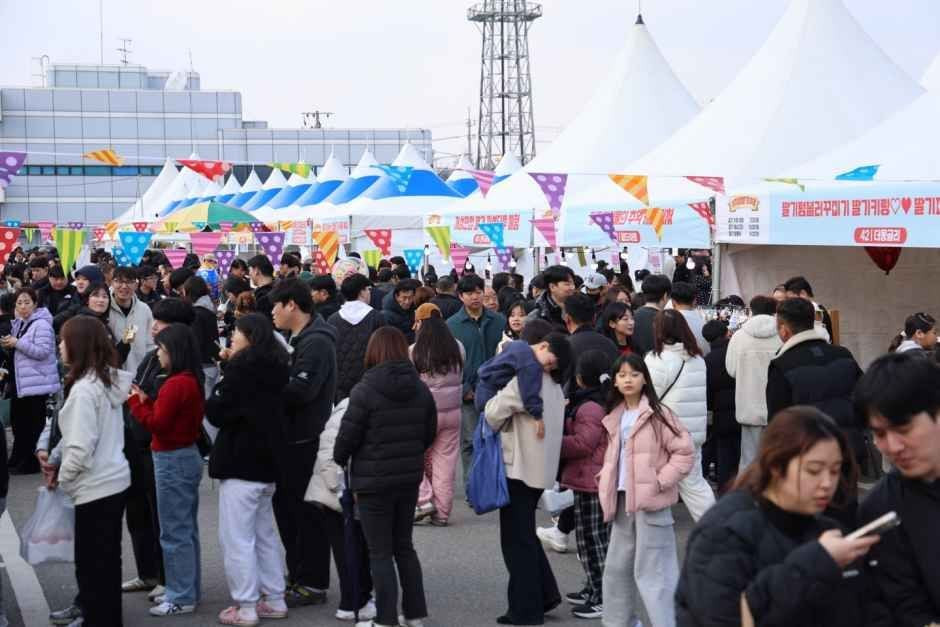 완주삼례딸기대축제 여행 정보 - 메고지고