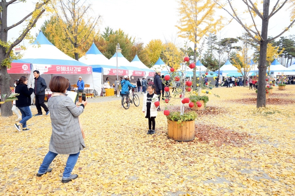 홍천 사과축제 여행 정보 - 메고지고