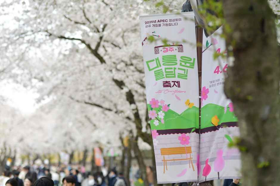 경주 대릉원돌담길 축제 여행 정보 - 메고지고