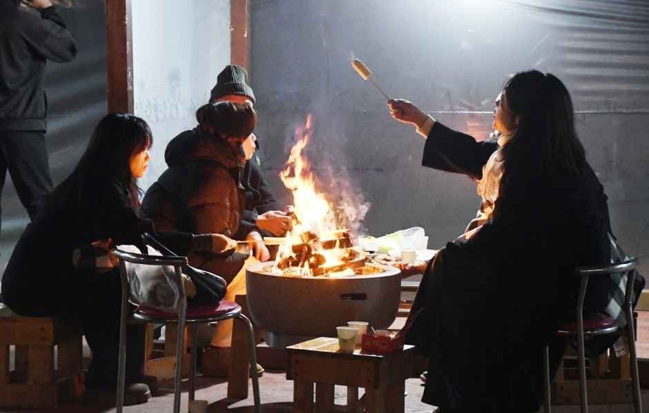 함평 겨울빛축제 여행 정보 - 메고지고
