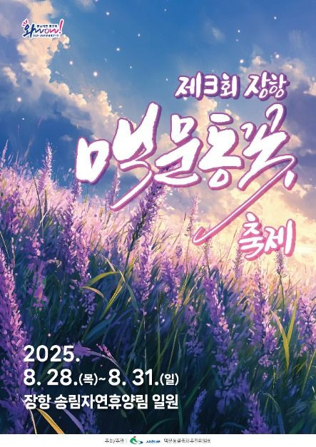 장항 맥문동 꽃 축제 여행 정보 - 메고지고