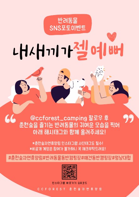 춘천숲자연휴양림 설렘의 숲 페스타 & 멍냥대첩 여행 정보 - 메고지고