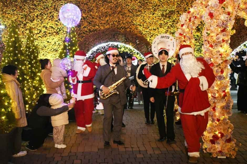 함평 겨울빛축제 여행 정보 - 메고지고