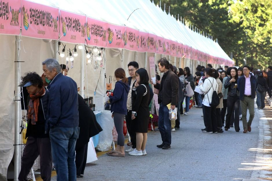 강릉커피축제 여행 정보 - 메고지고