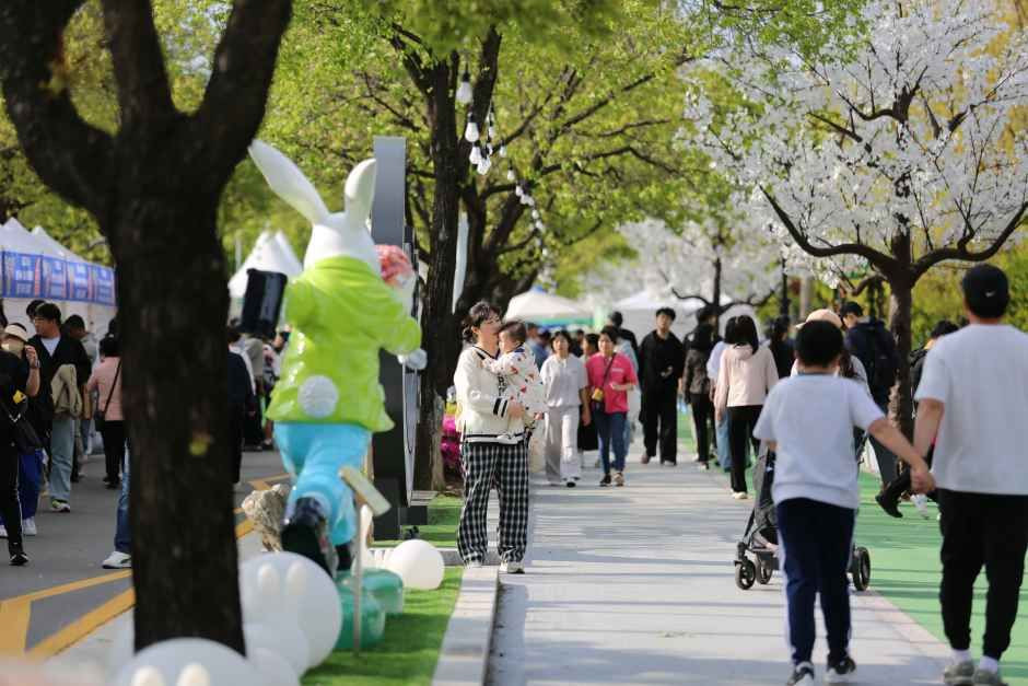청춘양구 곰취축제 여행 정보 - 메고지고