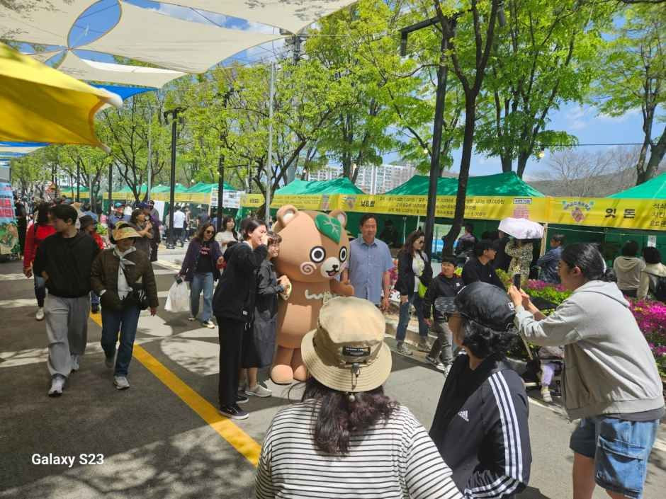 청춘양구 곰취축제 여행 정보 - 메고지고