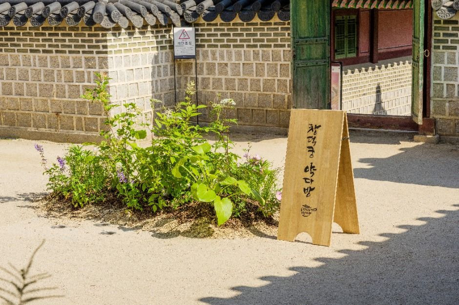 창덕궁 약다방 여행 정보 - 메고지고