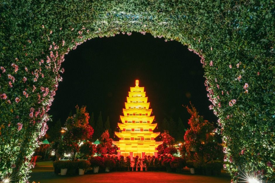 익산천만송이 국화축제 여행 정보 - 메고지고