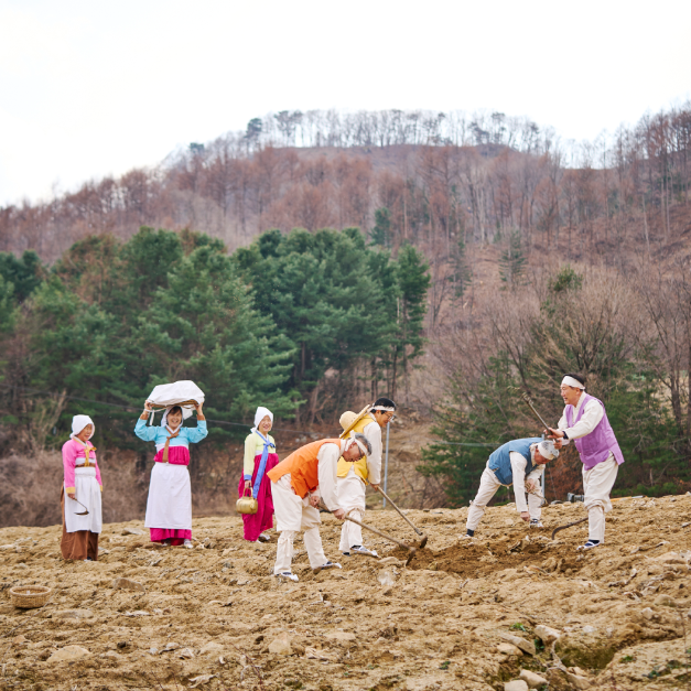 화전민 봄봄축제 여행 정보 - 메고지고
