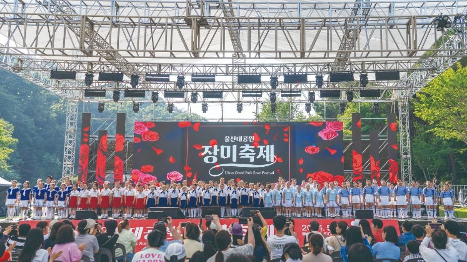 울산대공원 장미축제 여행 정보 - 메고지고