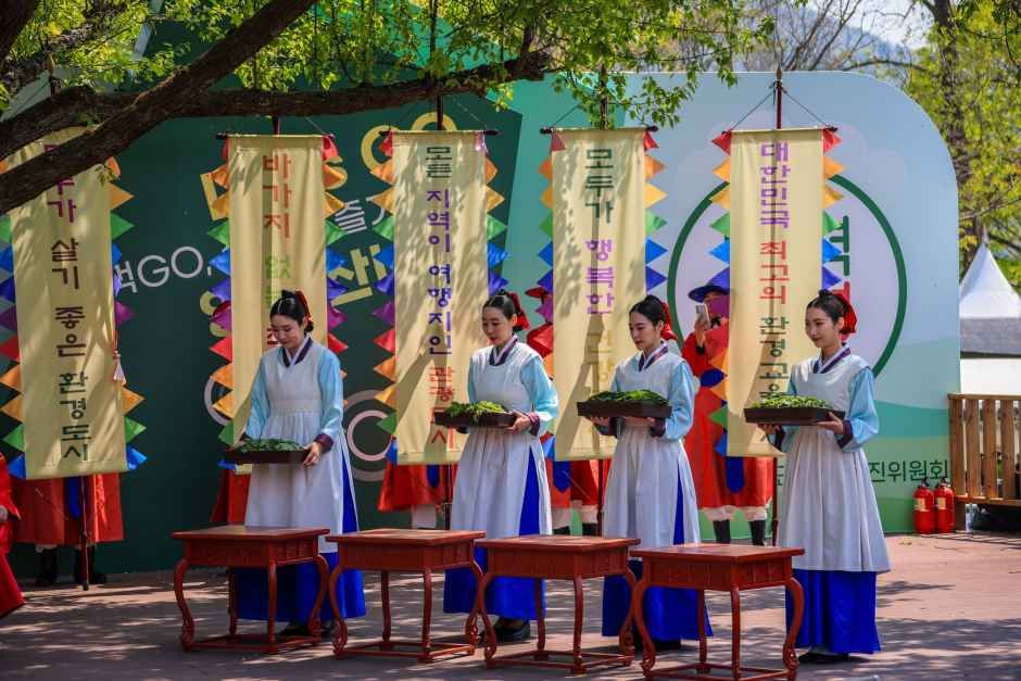 양평 용문산 산나물축제 여행 정보 - 메고지고