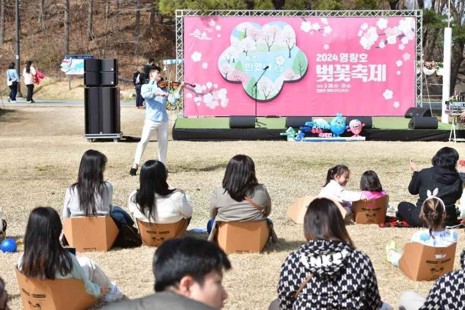 영랑호 벚꽃축제 여행 정보 - 메고지고