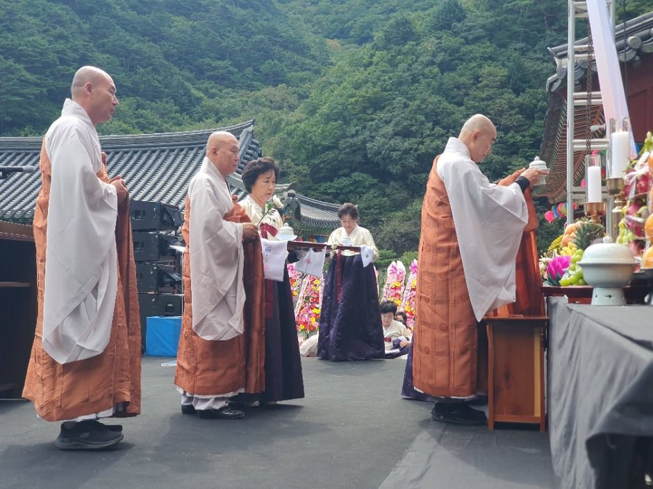 보현사 산사천년문화제 여행 정보 - 메고지고