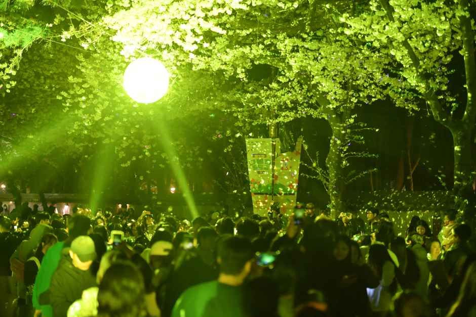 경주 대릉원돌담길 축제 여행 정보 - 메고지고