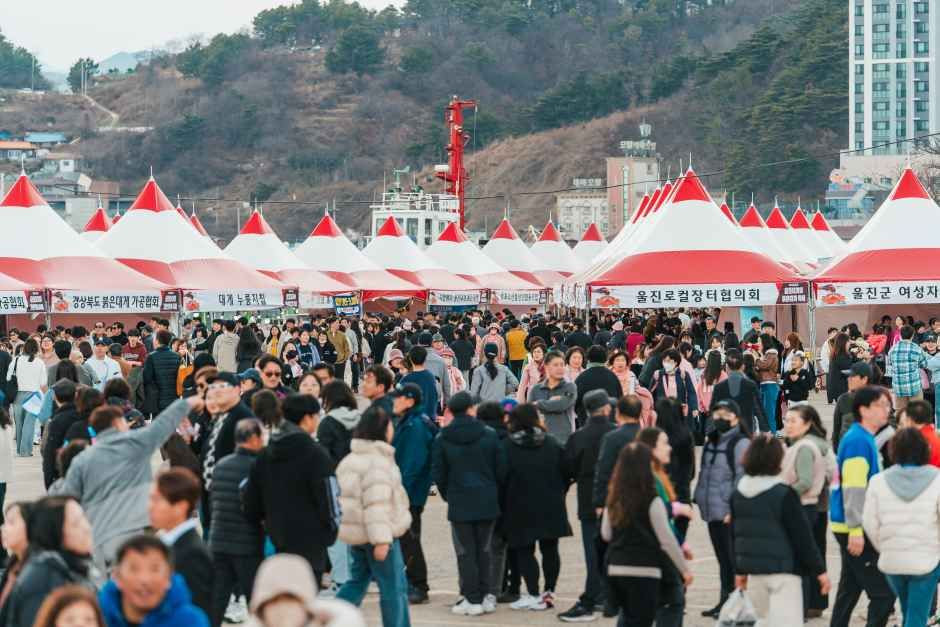 울진대게와 붉은대게 축제 여행 정보 - 메고지고