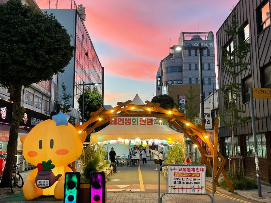 내인생의 한방축제 여행 정보 - 메고지고