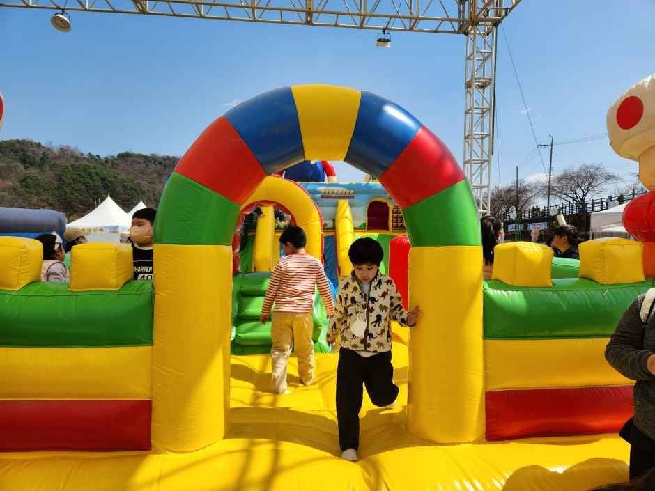 보은 벚꽃길 축제 여행 정보 - 메고지고
