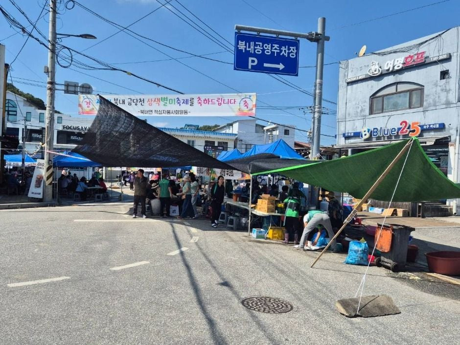 북내 금당천 삼색별미축제 여행 정보 - 메고지고