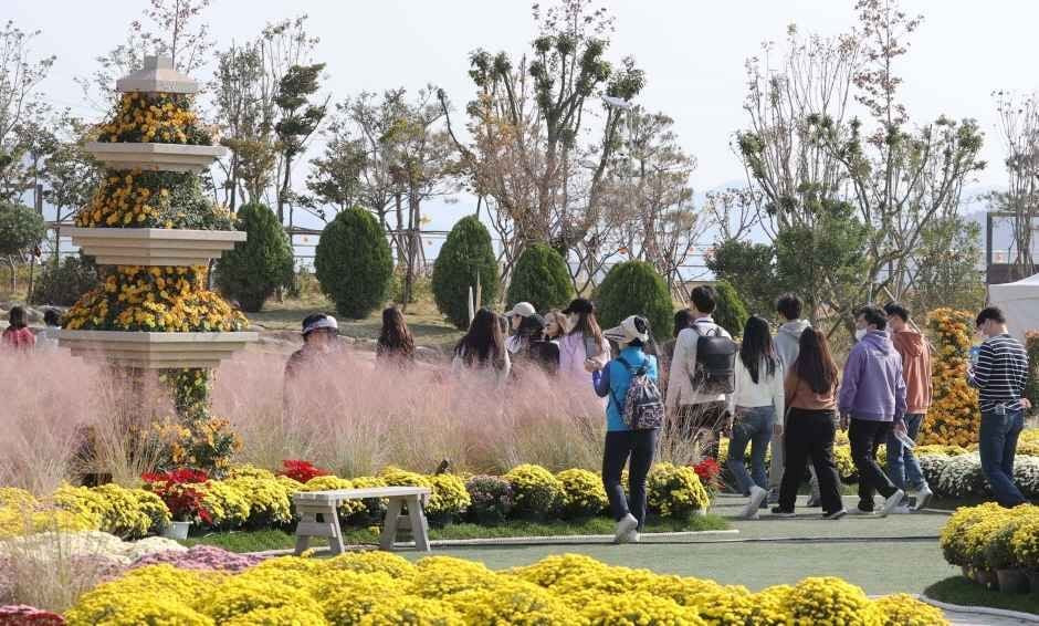 강진만 춤추는 갈대축제 여행 정보 - 메고지고