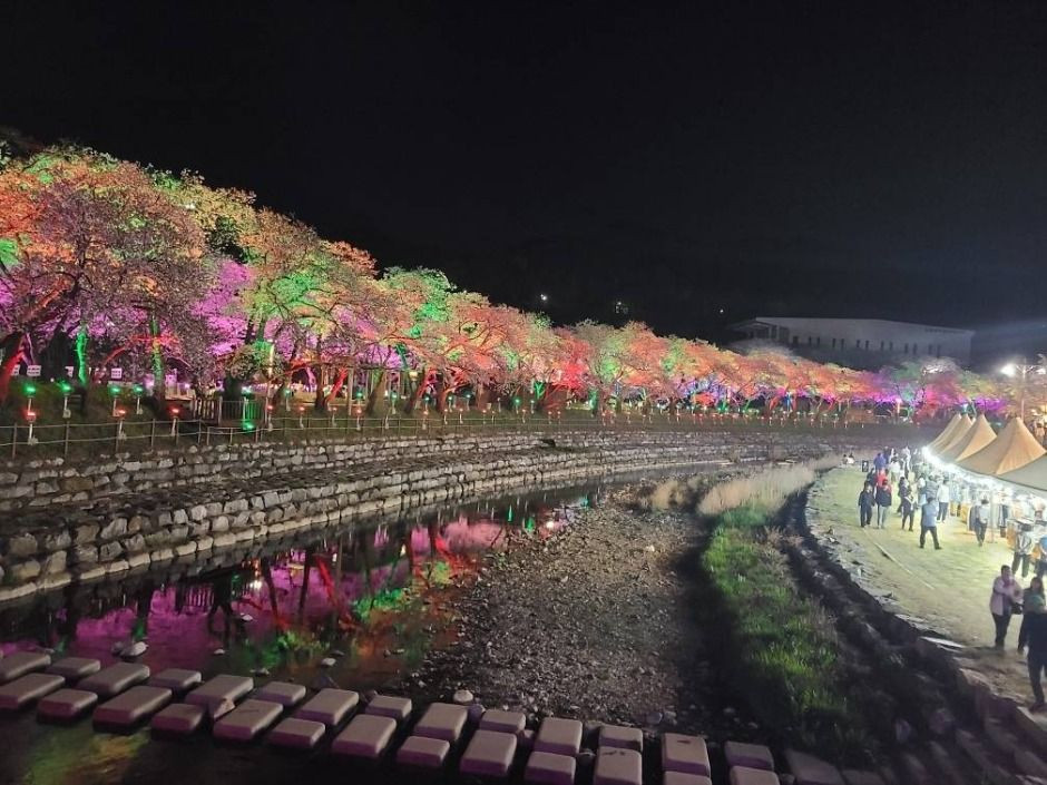 수안보온천제 여행 정보 - 메고지고