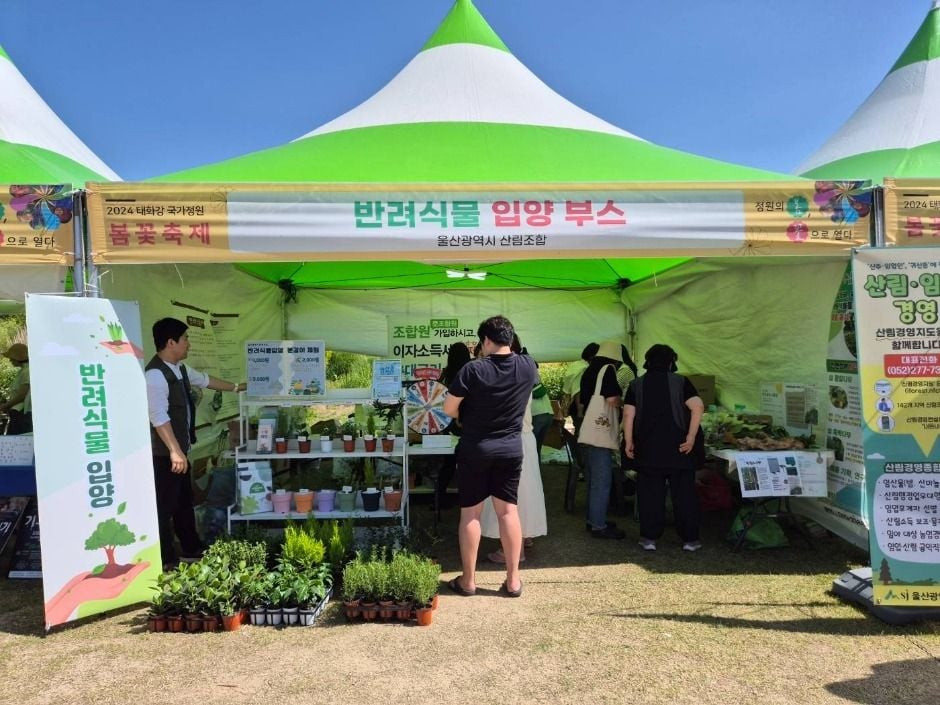 태화강 국가정원 봄꽃축제 여행 정보 - 메고지고