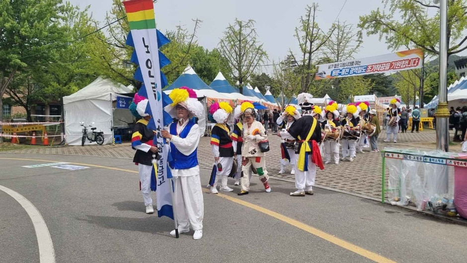 강원n 홍천 산나물축제 여행 정보 - 메고지고