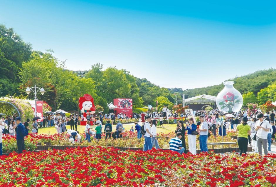 울산대공원 장미축제 여행 정보 - 메고지고