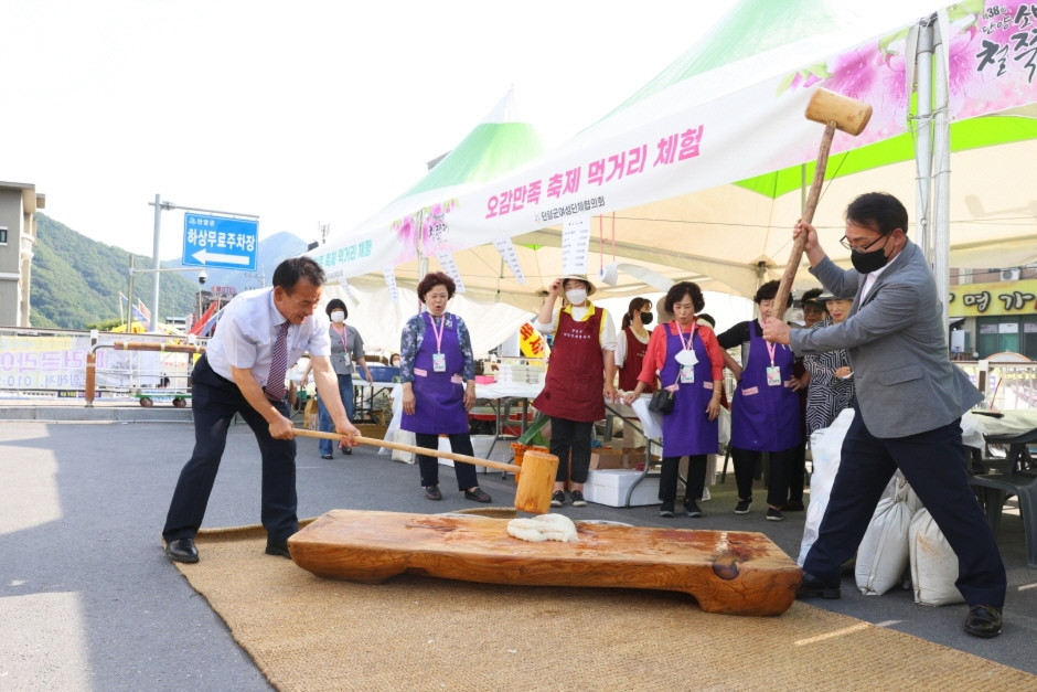 단양 소백산 철쭉제 여행 정보 - 메고지고