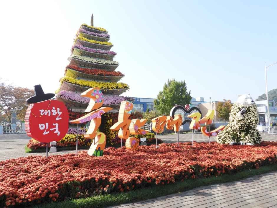 대한민국 국향대전 여행 정보 - 메고지고