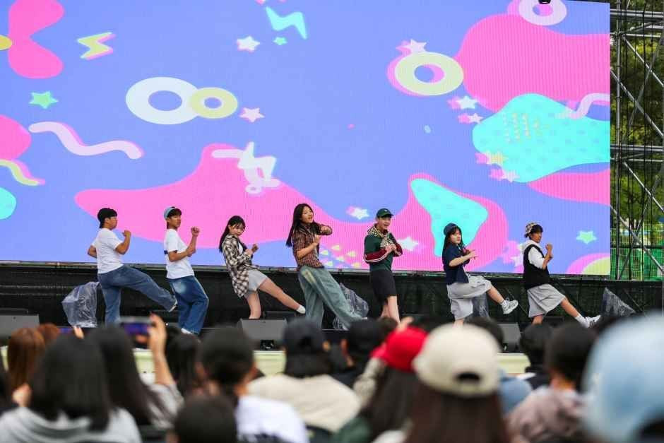 청춘양구 곰취축제 여행 정보 - 메고지고