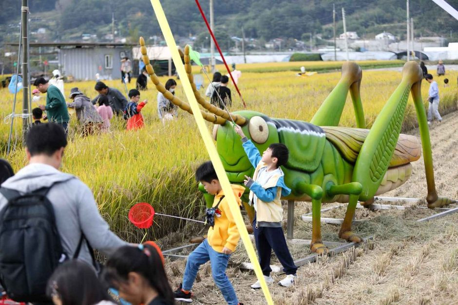 성주가야산황금들녘메뚜기축제 여행 정보 - 메고지고