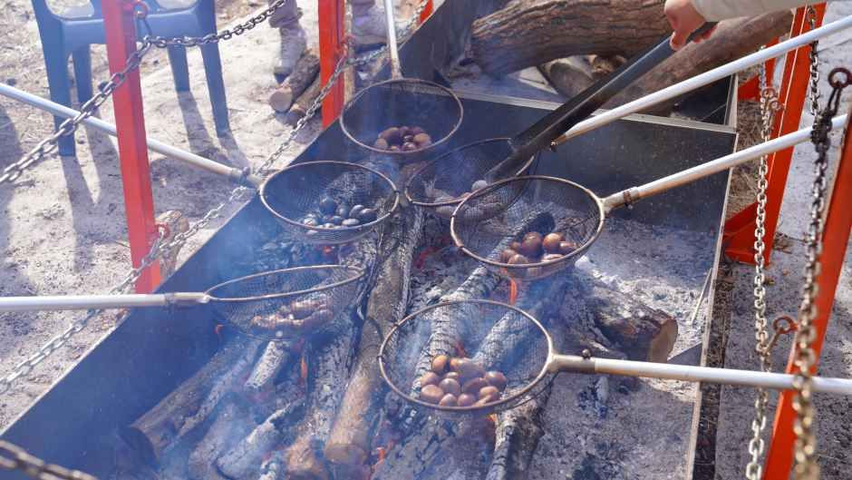 태백산 눈축제 여행 정보 - 메고지고