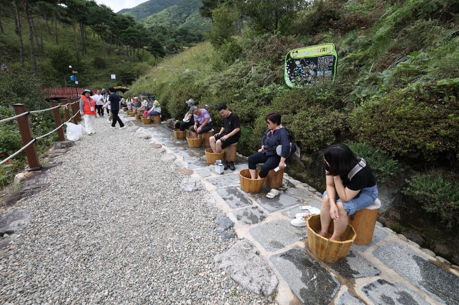산청한방약초축제 여행 정보 - 메고지고