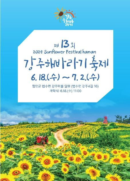 강주해바라기 축제 여행 정보 - 메고지고