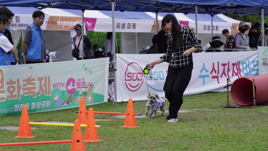 기장군반려동물문화축제 여행 정보 - 메고지고