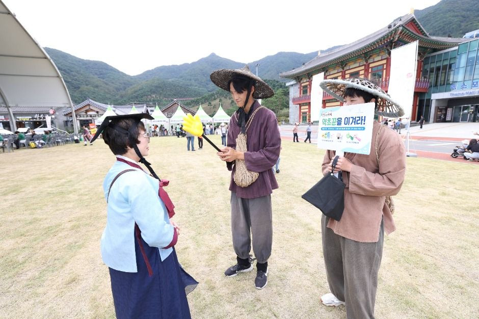 산청한방약초축제 여행 정보 - 메고지고