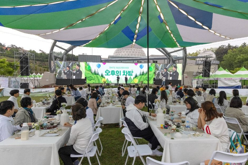 보성다향대축제 여행 정보 - 메고지고