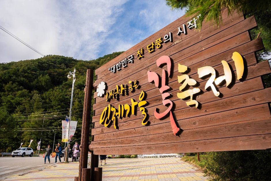 인제가을꽃축제 여행 정보 - 메고지고