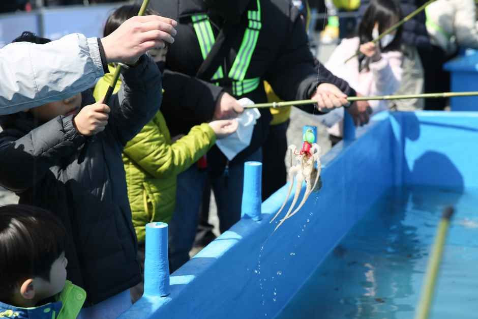 서천 동백꽃 주꾸미 축제 여행 정보 - 메고지고