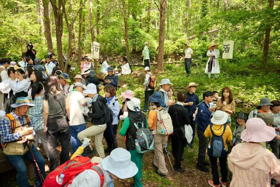영주 소백산 철쭉제 여행 정보 - 메고지고