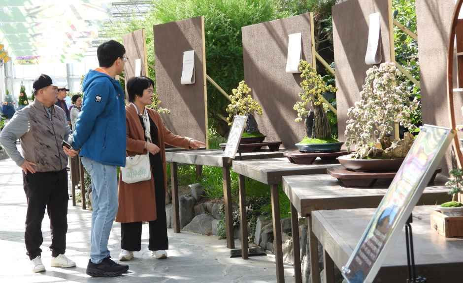 대한민국 국향대전 여행 정보 - 메고지고