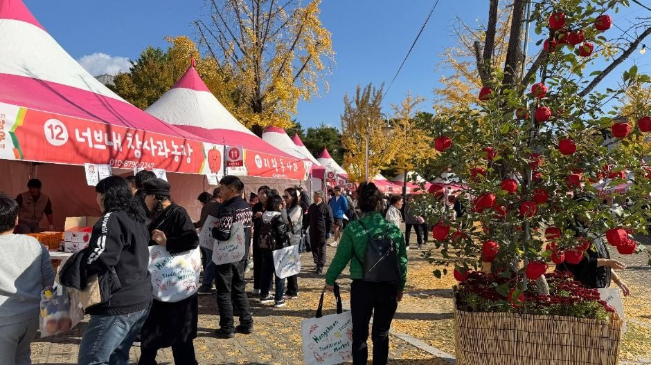 홍천 사과축제 여행 정보 - 메고지고